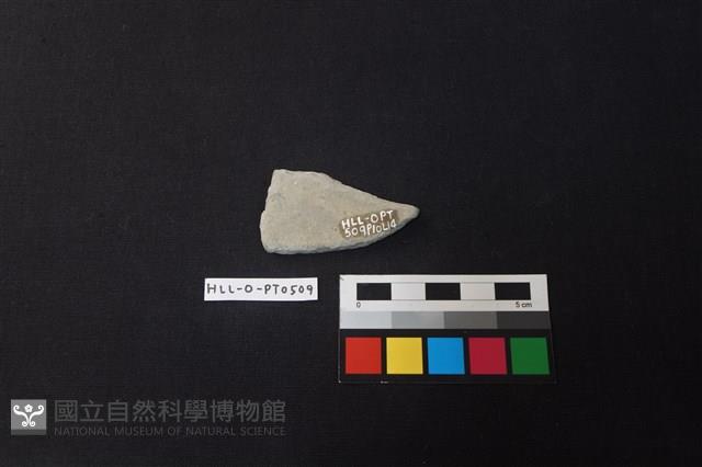 陶片藏品圖，第2張