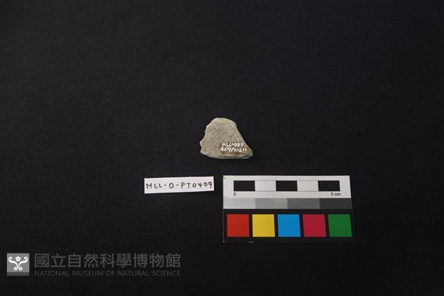 陶片藏品圖，第2張