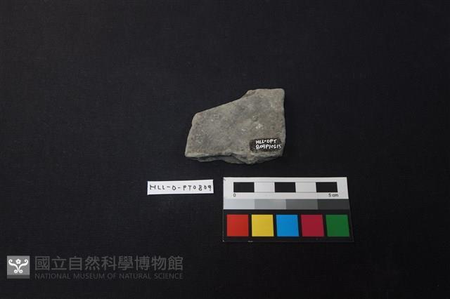 陶片藏品圖，第2張