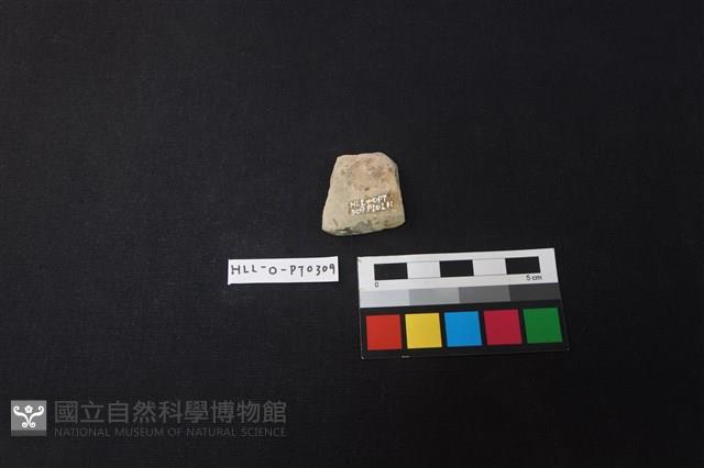 陶片藏品圖，第2張