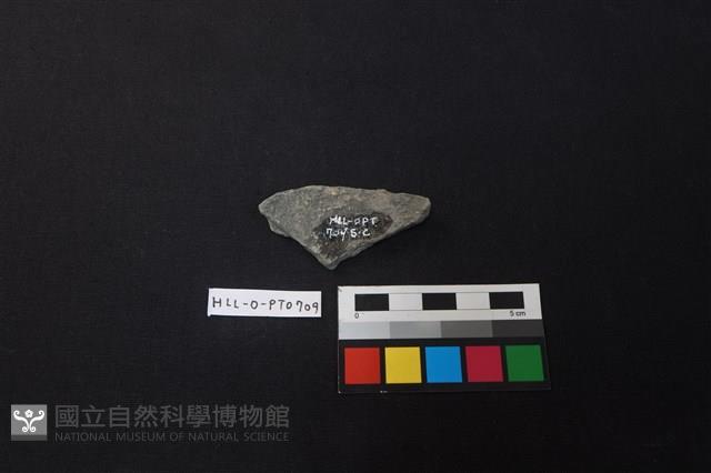 陶片藏品圖，第2張