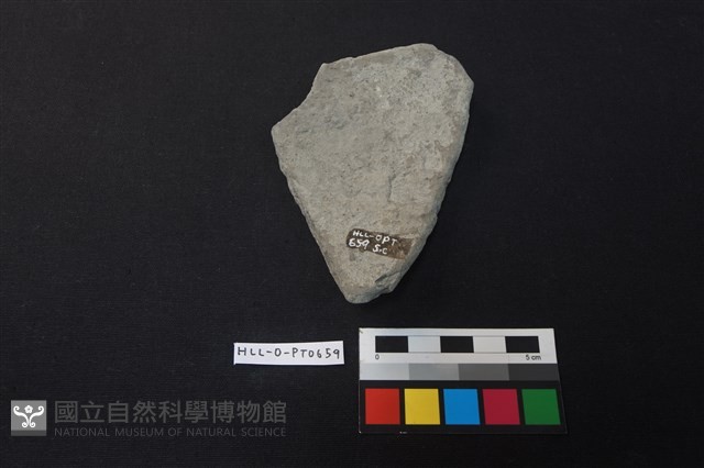 陶片藏品圖，第2張