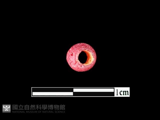 玻璃珠藏品圖，第2張