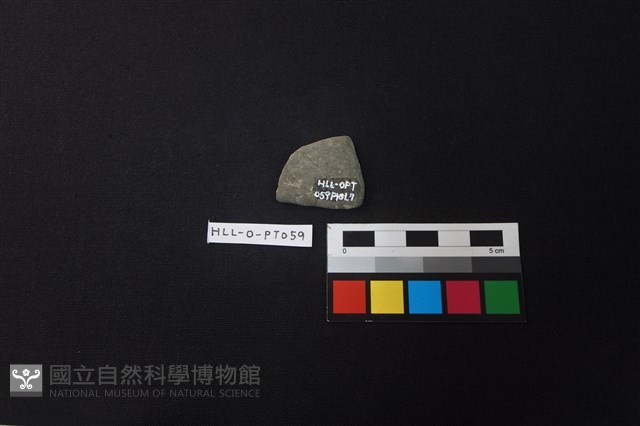 陶片藏品圖，第2張