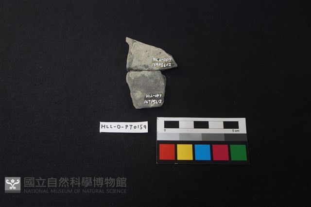 陶片藏品圖，第2張