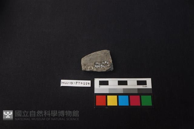 陶片藏品圖，第2張