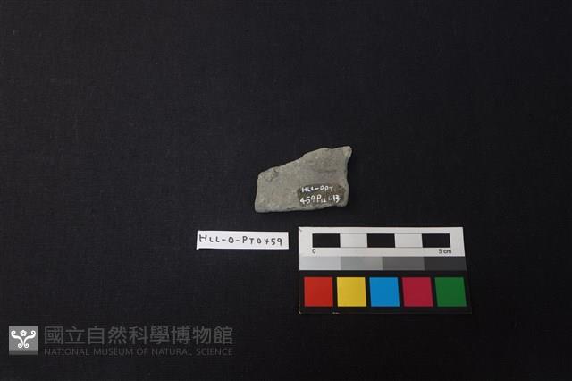 陶片藏品圖，第2張