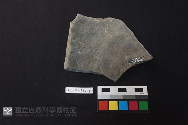 陶片藏品圖，第2張