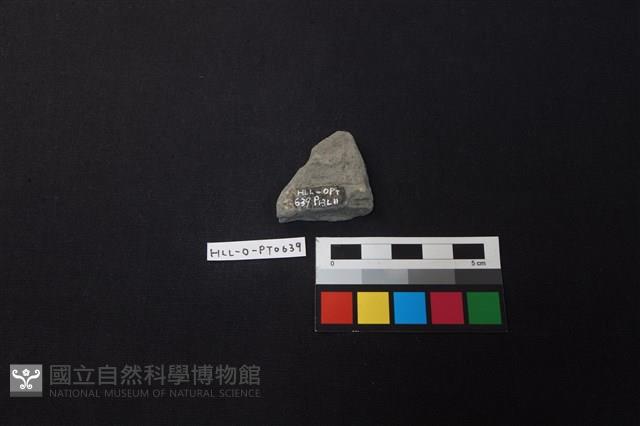 陶片藏品圖，第2張