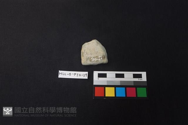 陶片藏品圖，第2張