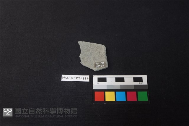 陶片藏品圖，第2張