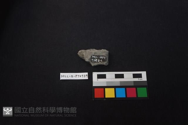 陶片藏品圖，第2張