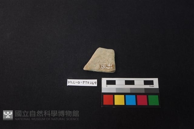 陶片藏品圖，第2張