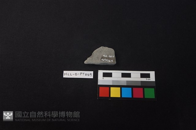 陶片藏品圖，第2張