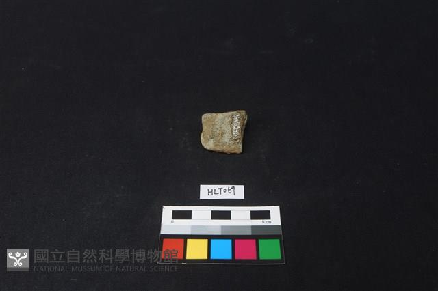 陶片藏品圖，第2張