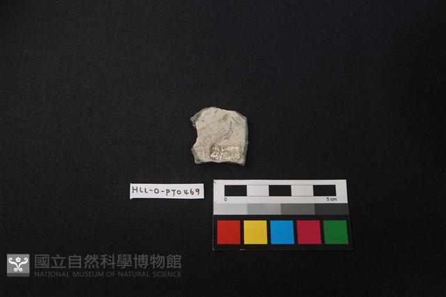 陶片藏品圖，第2張