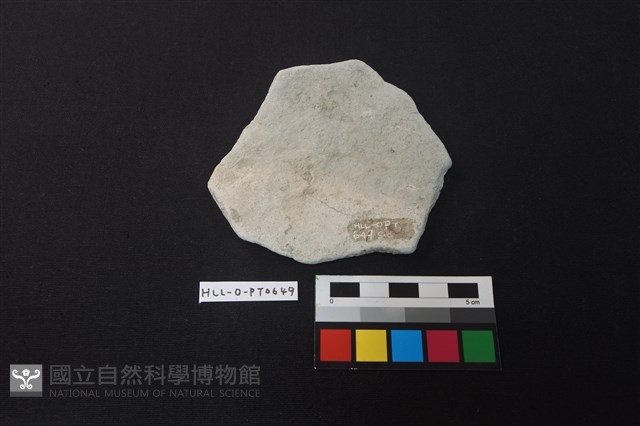 陶片藏品圖，第2張