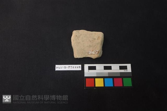 Accession Number:HLL-O-PT0249 Collection Image, Figure 2, Total 2 Figures