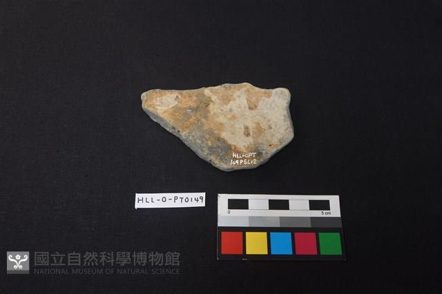 陶片藏品圖，第2張