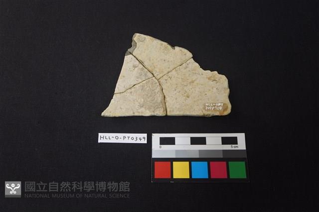 陶片藏品圖，第2張