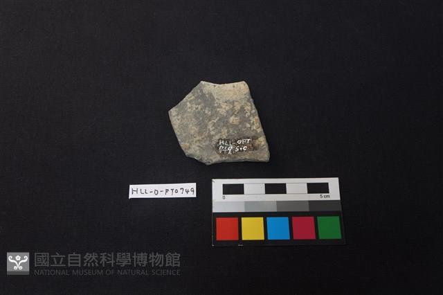 陶片藏品圖，第2張