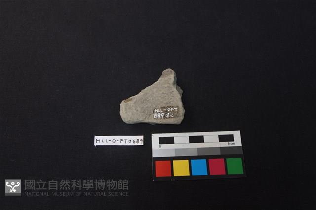 陶片藏品圖，第2張