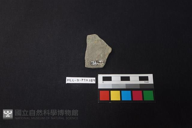 陶片藏品圖，第2張