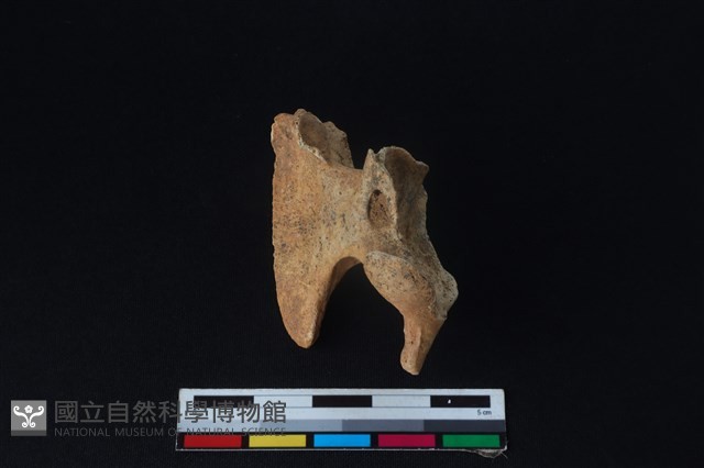 狗骨藏品圖，第2張