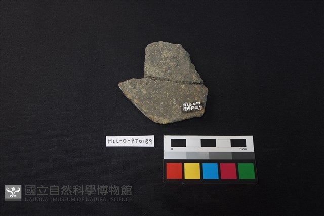 陶片藏品圖，第2張