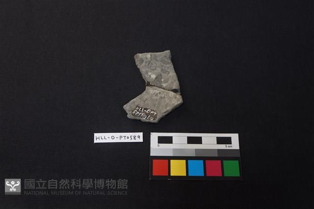 陶片藏品圖，第2張