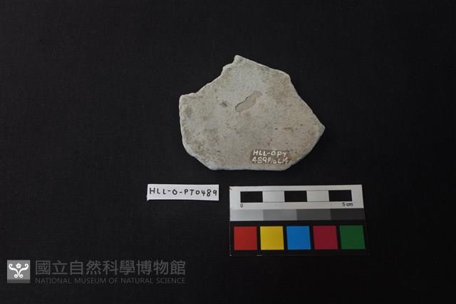 陶片藏品圖，第2張