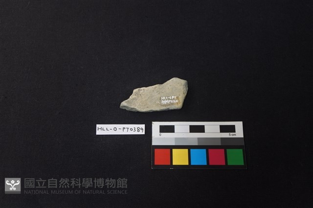 陶片藏品圖，第2張