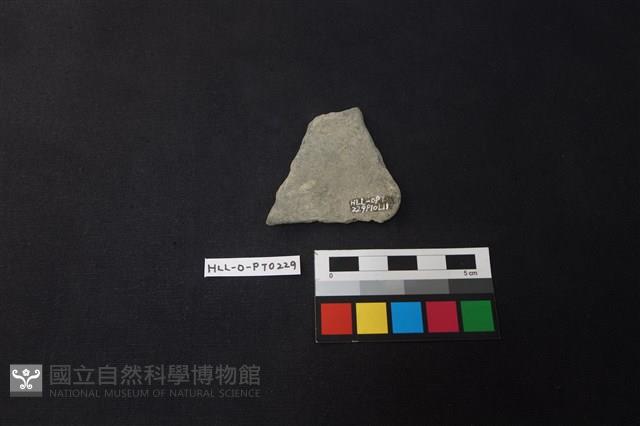 Accession Number:HLL-O-PT0229 Collection Image, Figure 2, Total 2 Figures