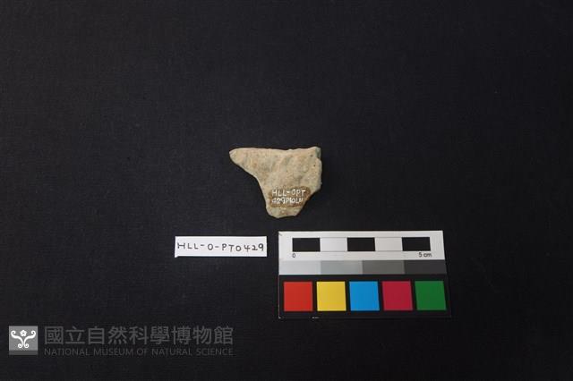 陶片藏品圖，第2張