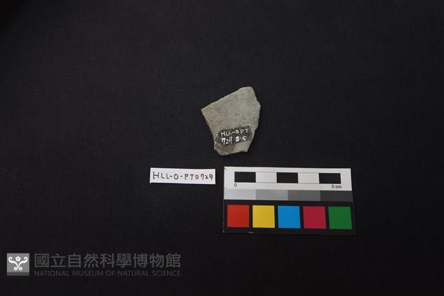 陶片藏品圖，第2張