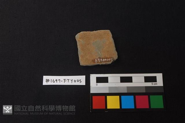 陶片藏品圖，第2張