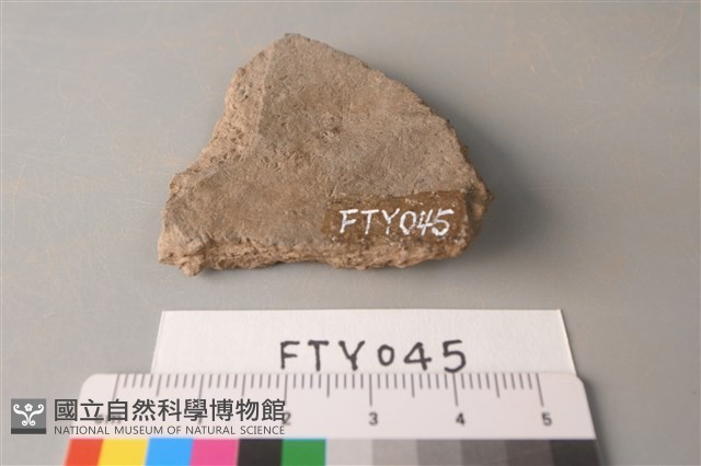 陶片藏品圖，第2張