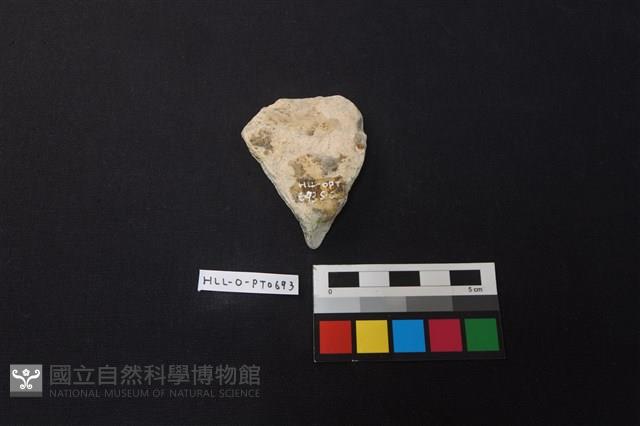 陶片藏品圖，第2張