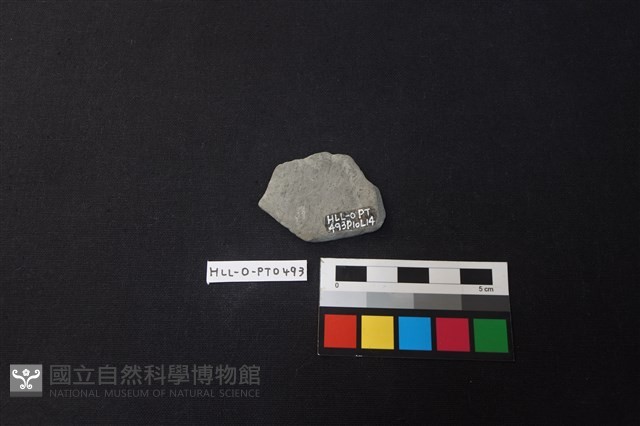 陶片藏品圖，第2張