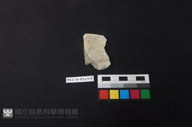 陶片藏品圖，第2張