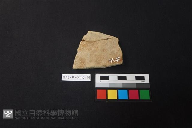 陶片藏品圖，第2張