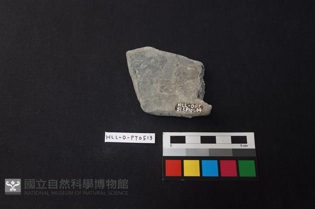 陶片藏品圖，第2張