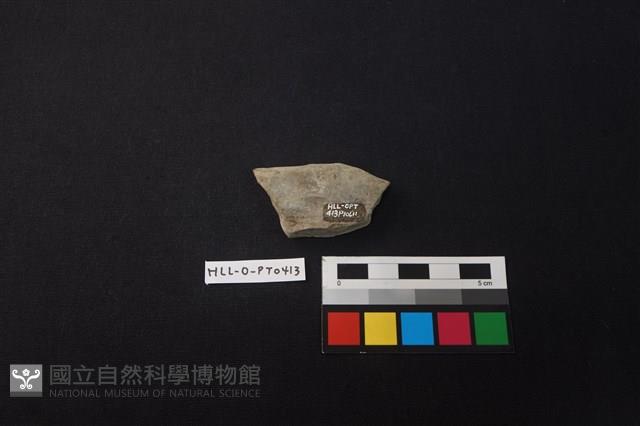 陶片藏品圖，第2張