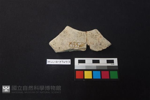 陶片藏品圖，第2張