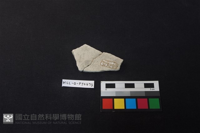 陶片藏品圖，第2張