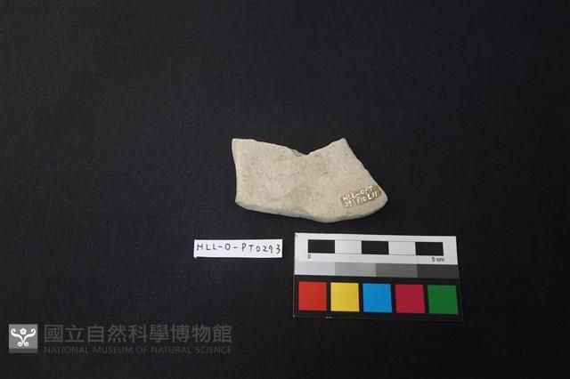 陶片藏品圖，第2張