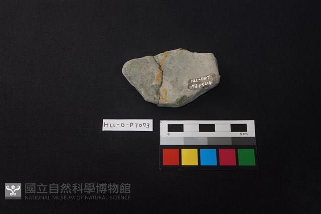 陶片藏品圖，第2張