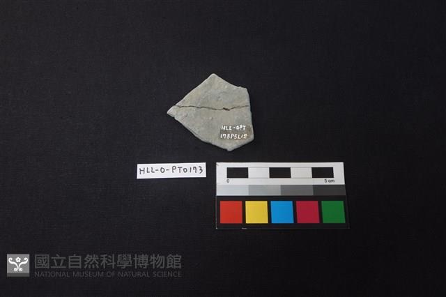 陶片藏品圖，第2張