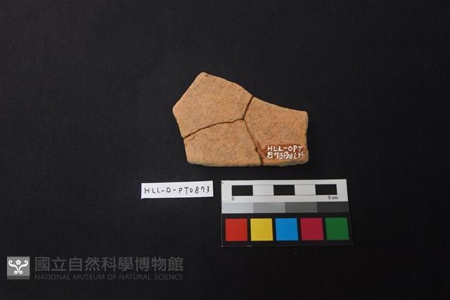 陶片藏品圖，第2張