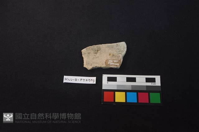陶片藏品圖，第2張